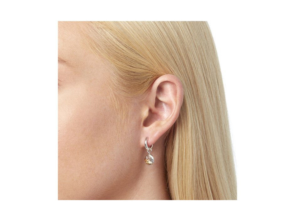 Aretes de abeja de plata con acabado plateado cristal 3