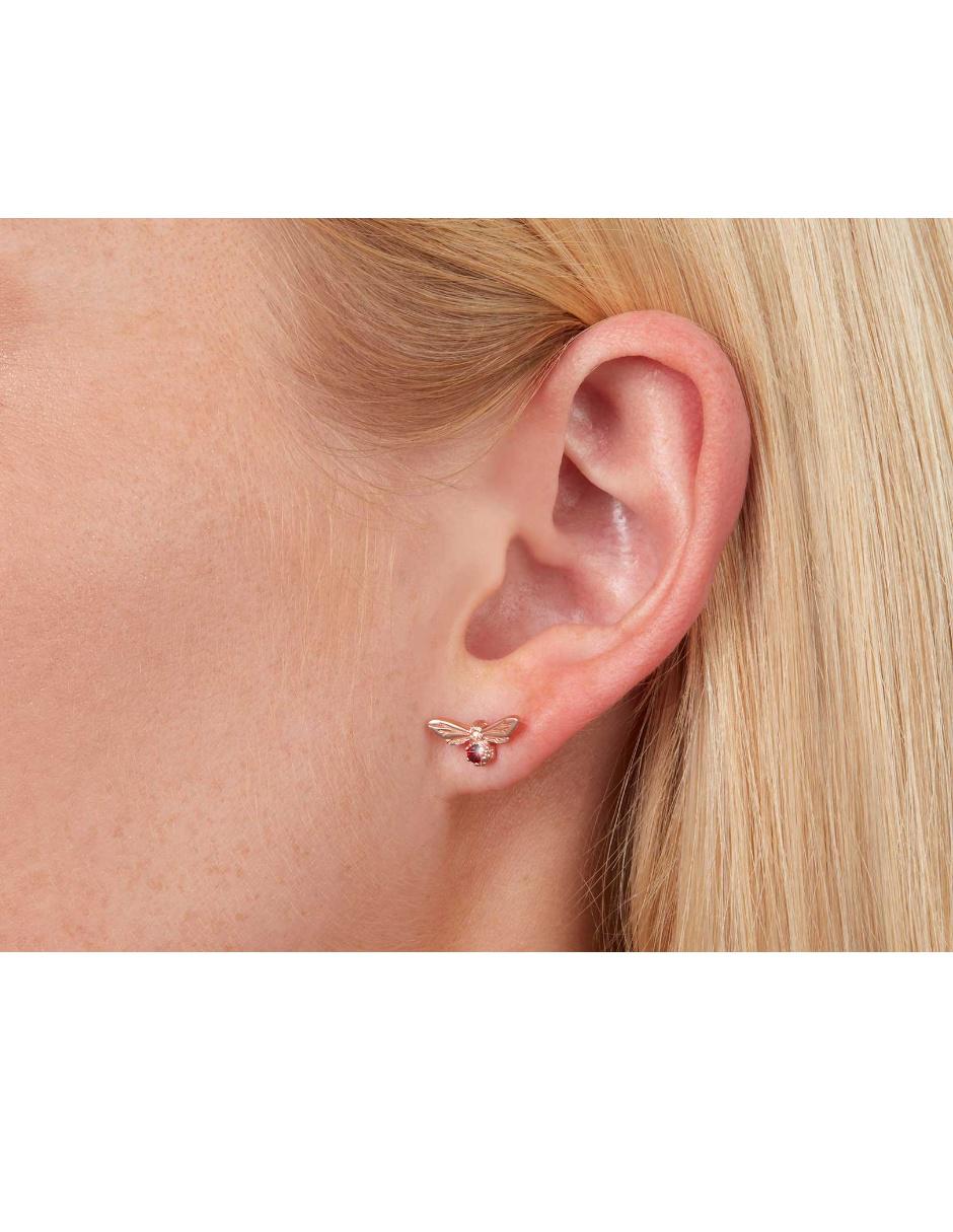 Aretes de plata con acabado pavé 2