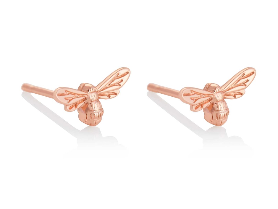 Aretes de plata con acabado brillante Aretes de plata con acabado brillante