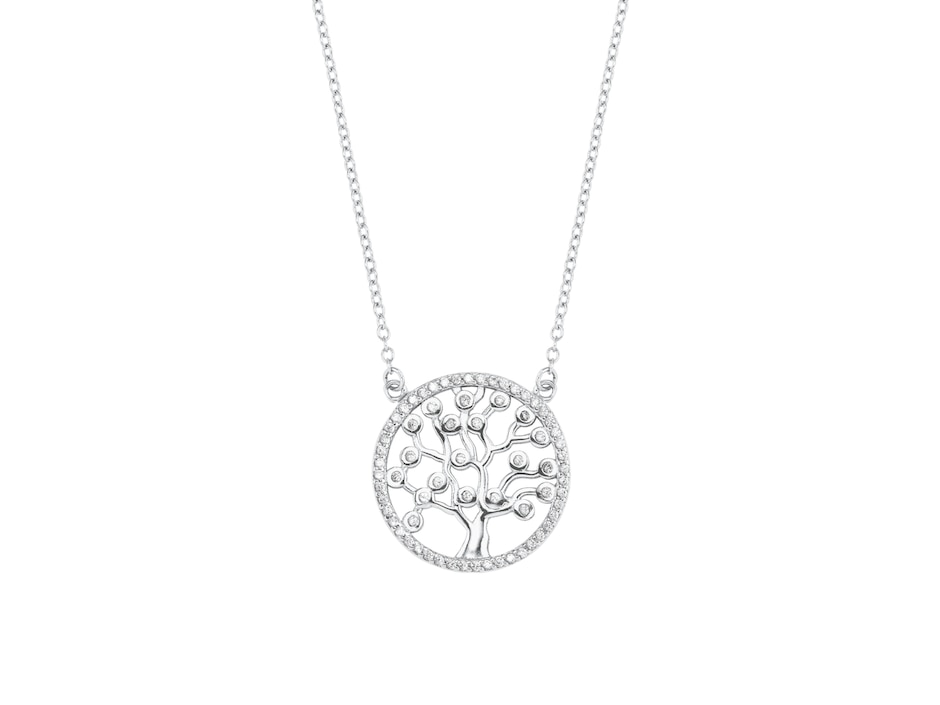 Collar de plata 1