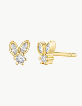 Aretes de plata