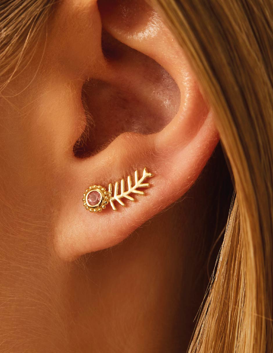 Aretes de plata turmalina 2