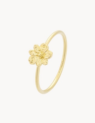 Anillo de flor Zinia Chica brillante Anillo de flor Zinia Chica brillante