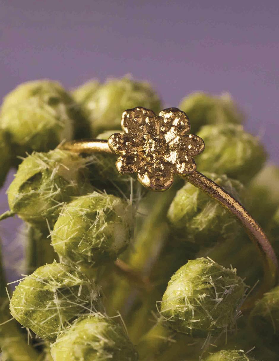 Anillo de flor Zinia Chica brillante 2