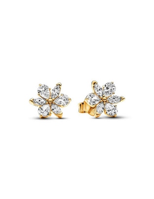 Broqueles de flor de plata con acabado brillante