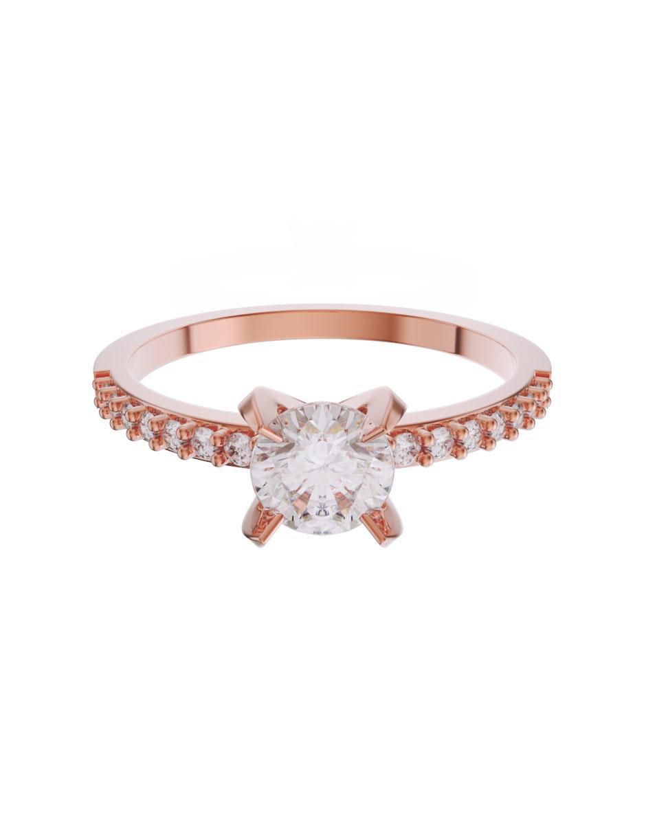 Rosa 3