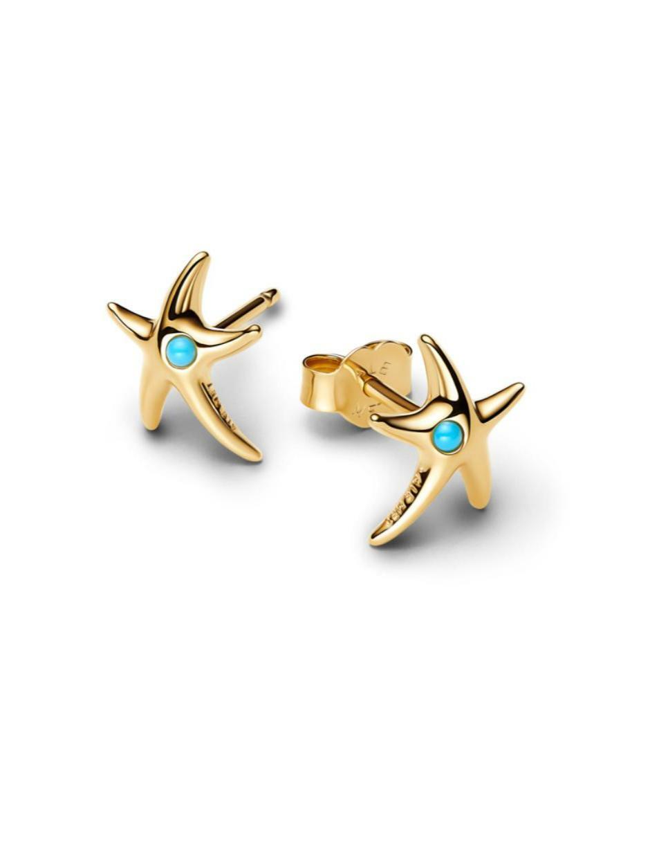 Aretes de estrella Moments de plata P 925 cristal 2