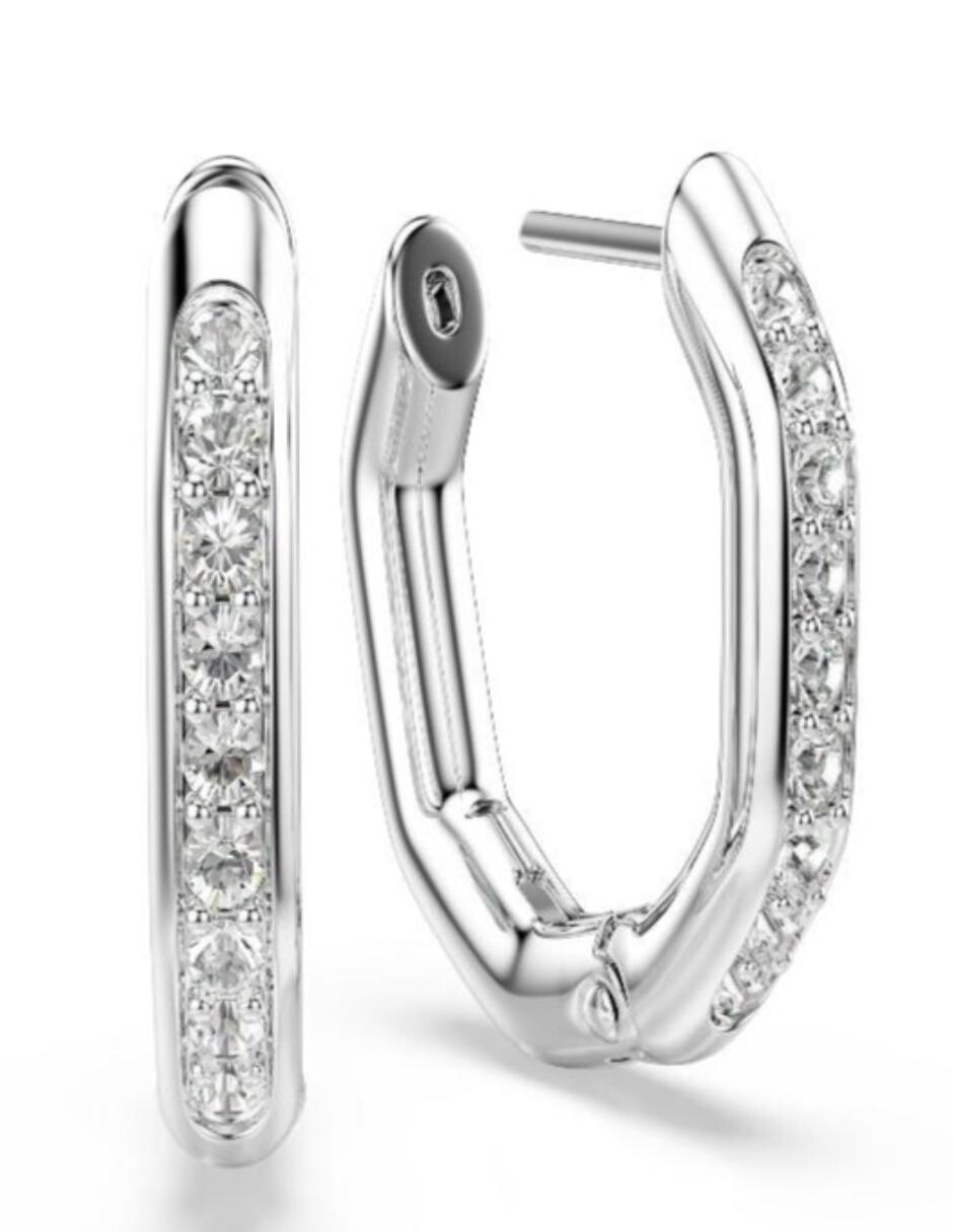 Aretes de cisne con acabado brillante 3