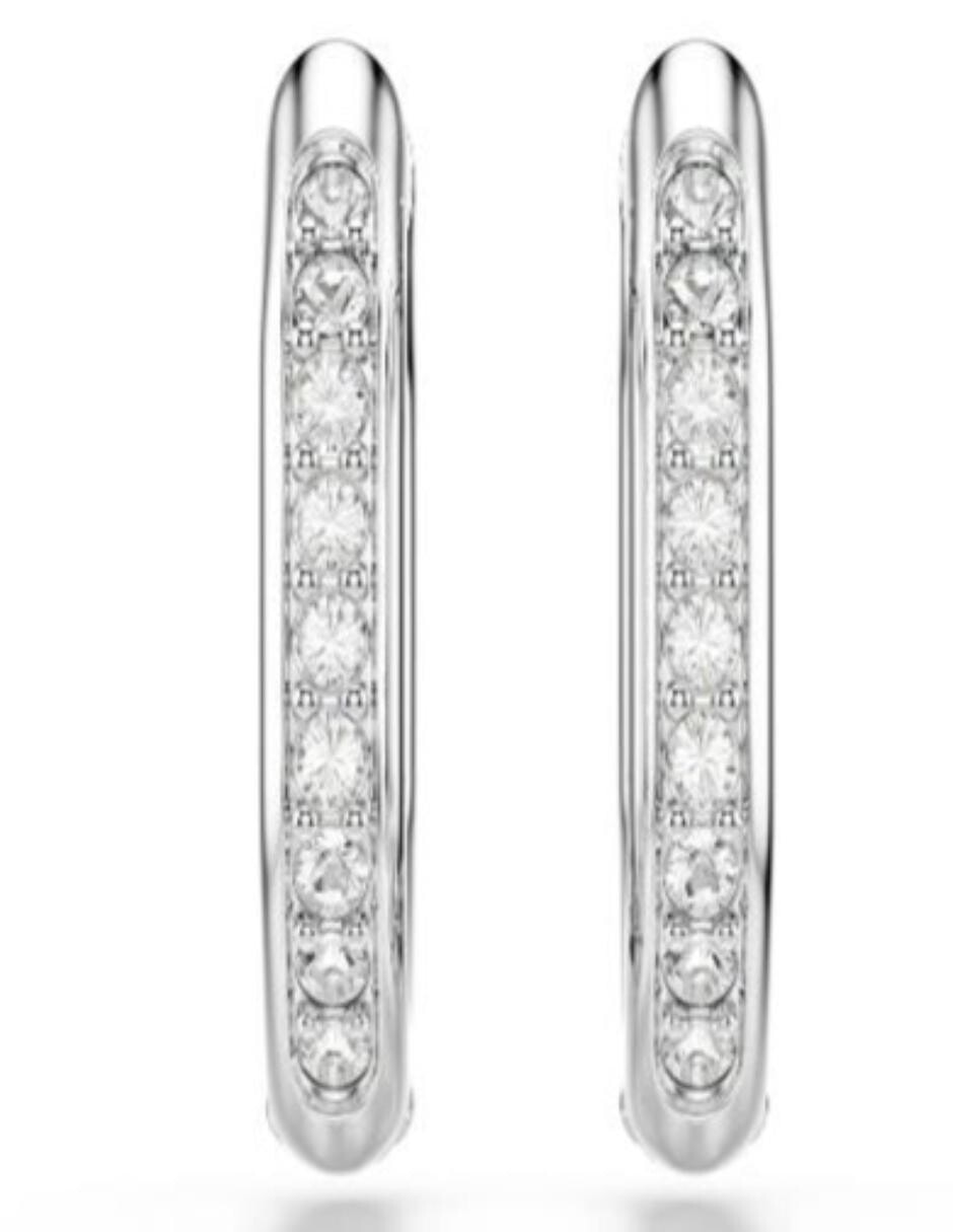 Aretes de cisne con acabado brillante 4