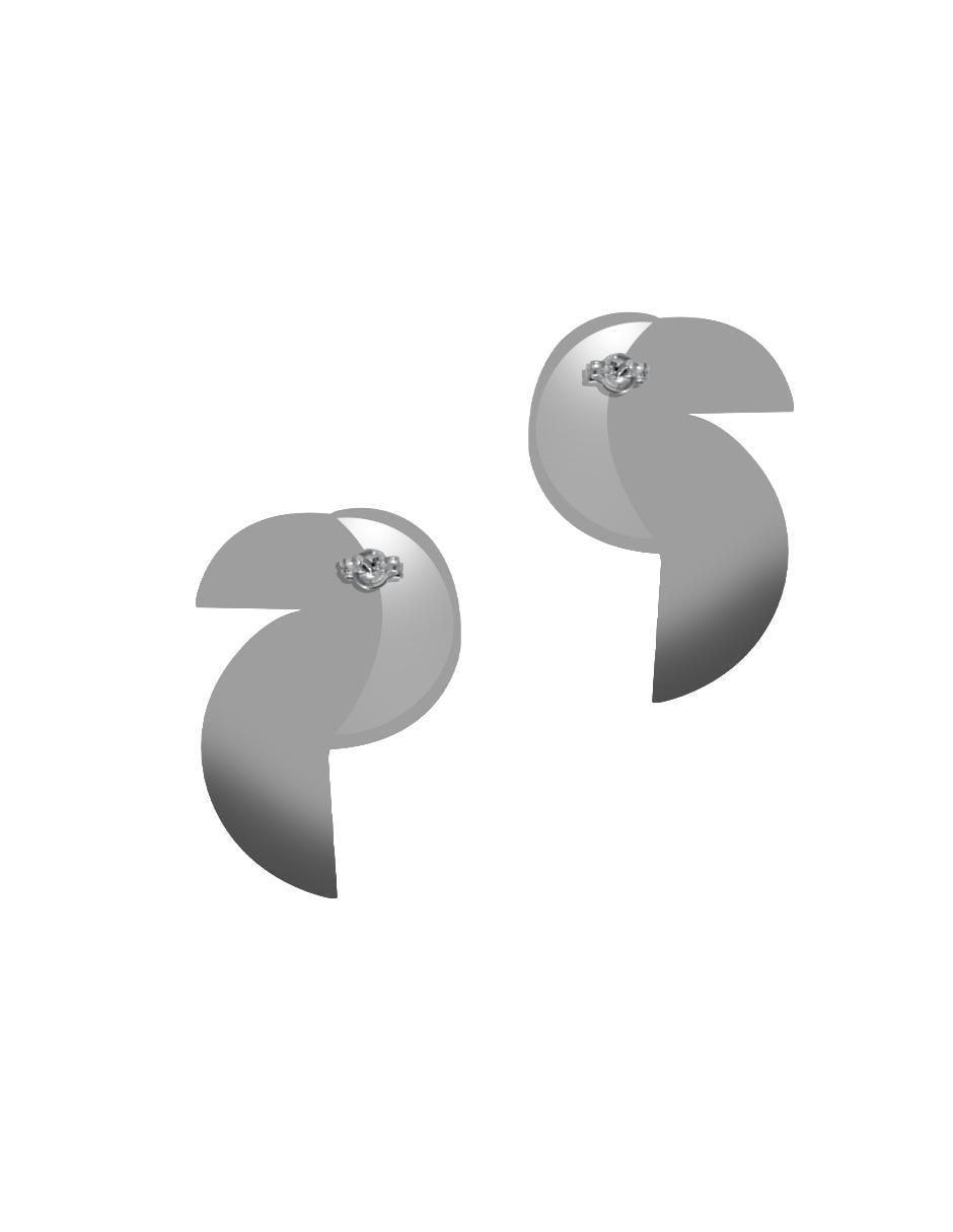 Aretes de pájaro de plata P 925 con acabado brillante 2