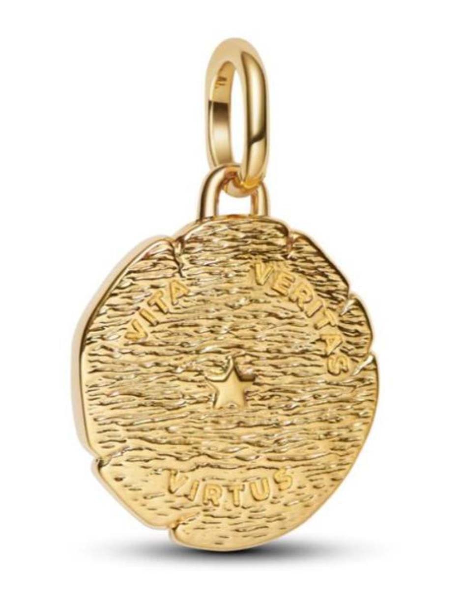 Charm de león ME de plata P 925 2