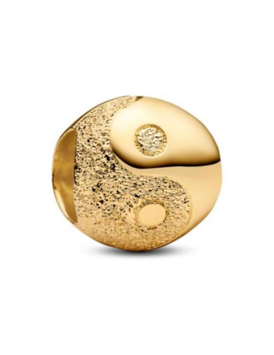 Charm Moments de plata P 925 1