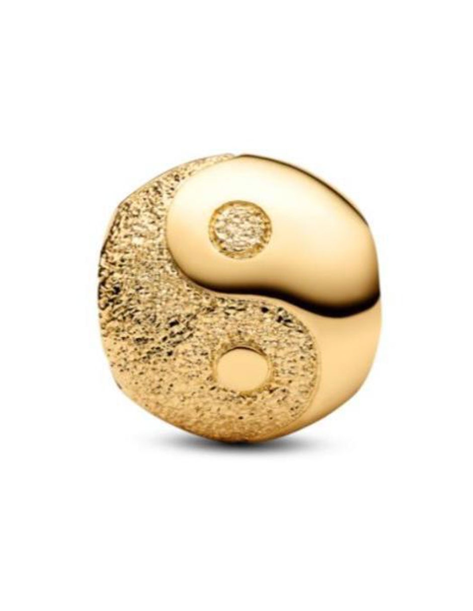 Charm Moments de plata P 925 2