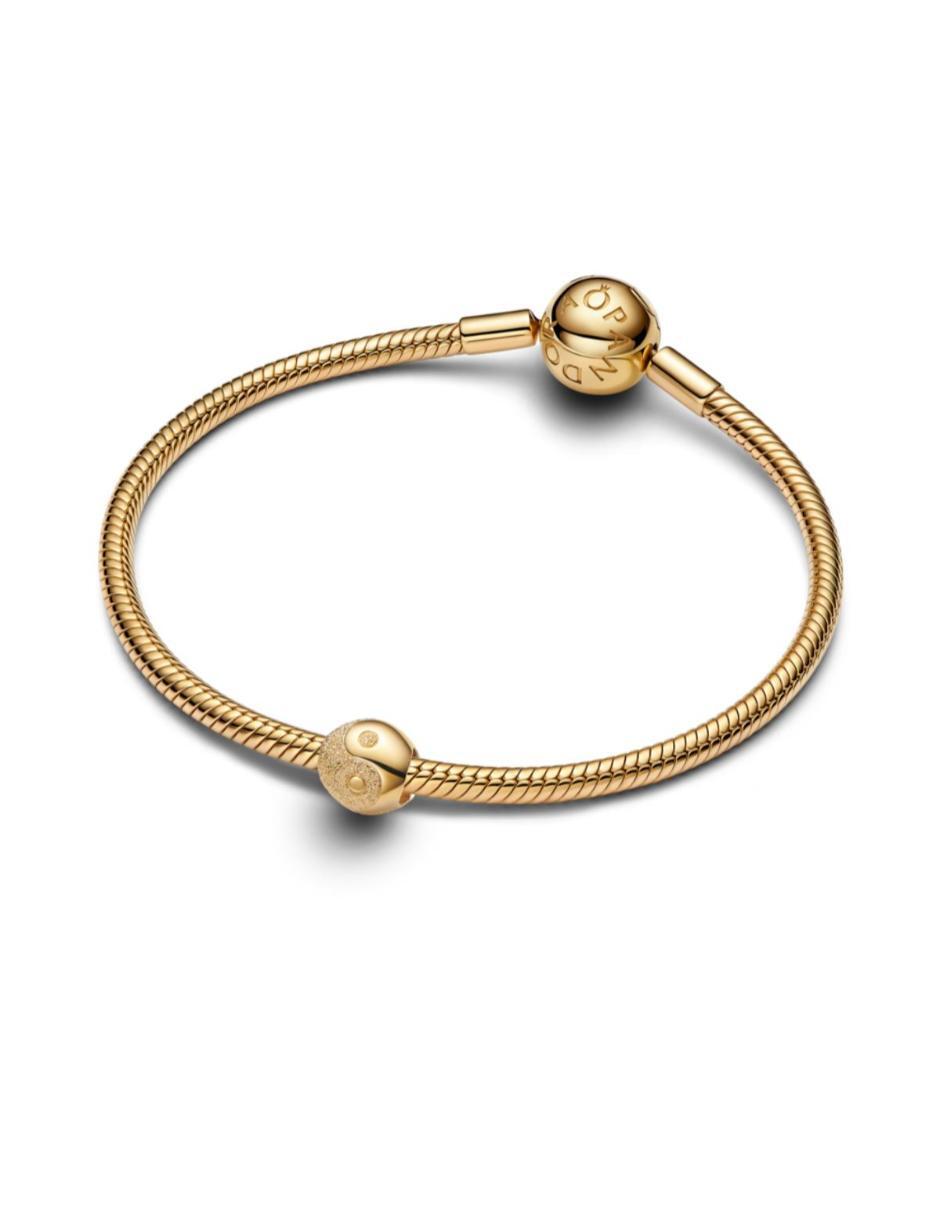 Charm Moments de plata P 925