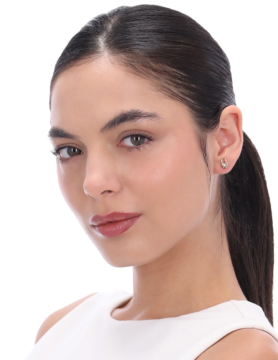 Aretes de corazón con acabado brillante 3