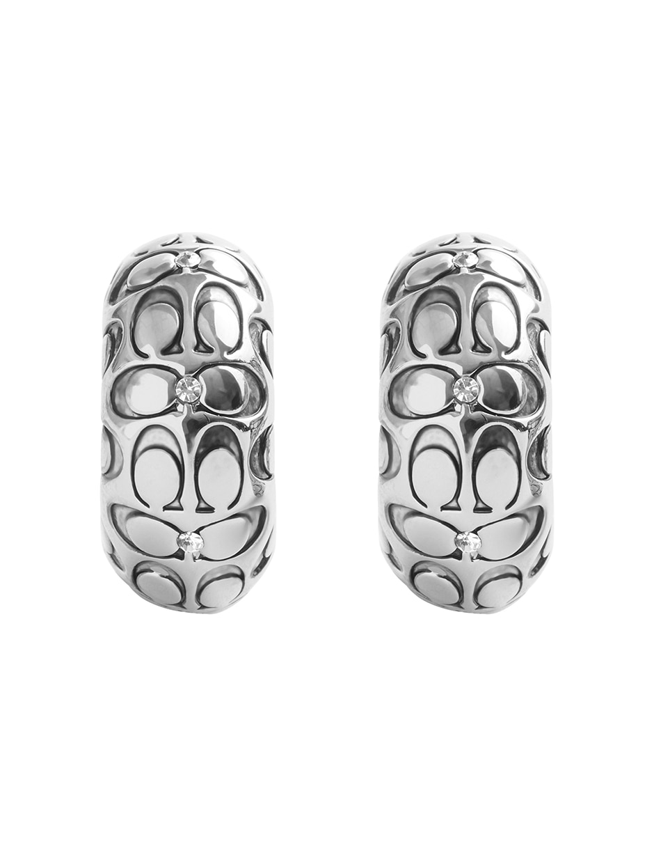 Aretes con acabado brillante