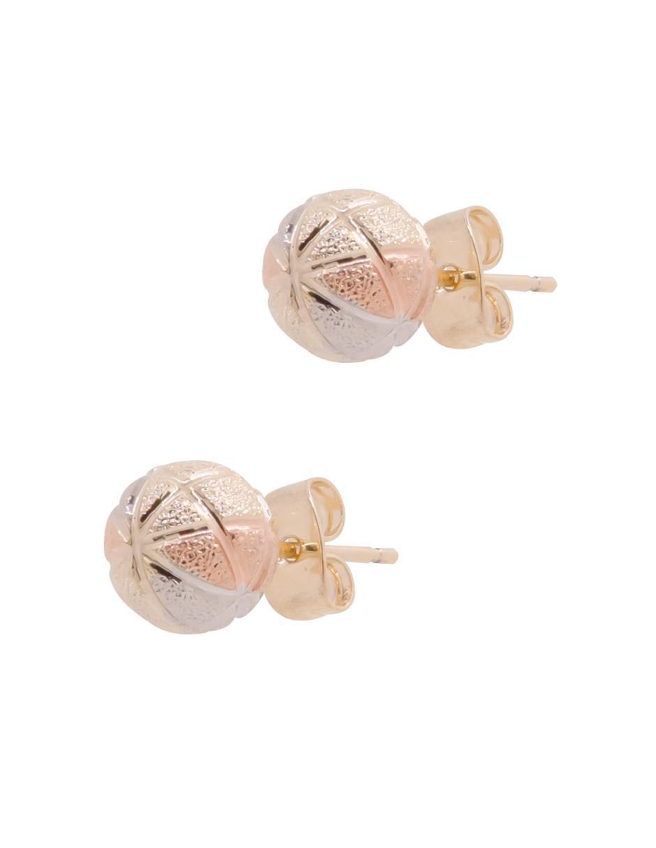 Aretes redondos con acabado brillante 2