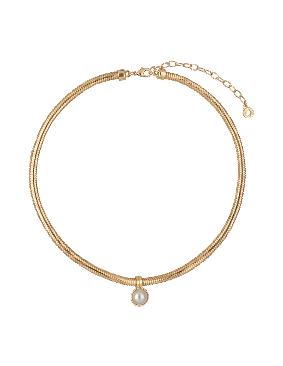Collar Fort Myers 2