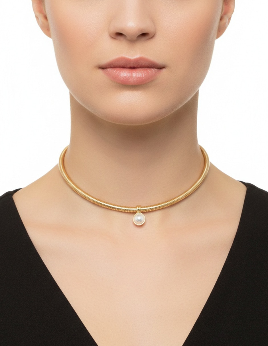 Collar Fort Myers 3