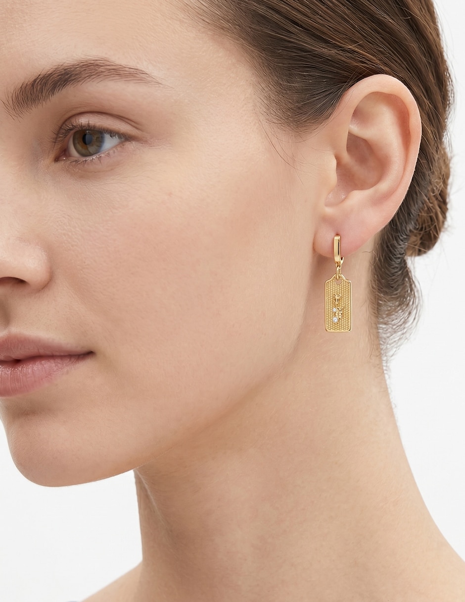 Aretes Coachnovmkt2 con acabado brillante 2