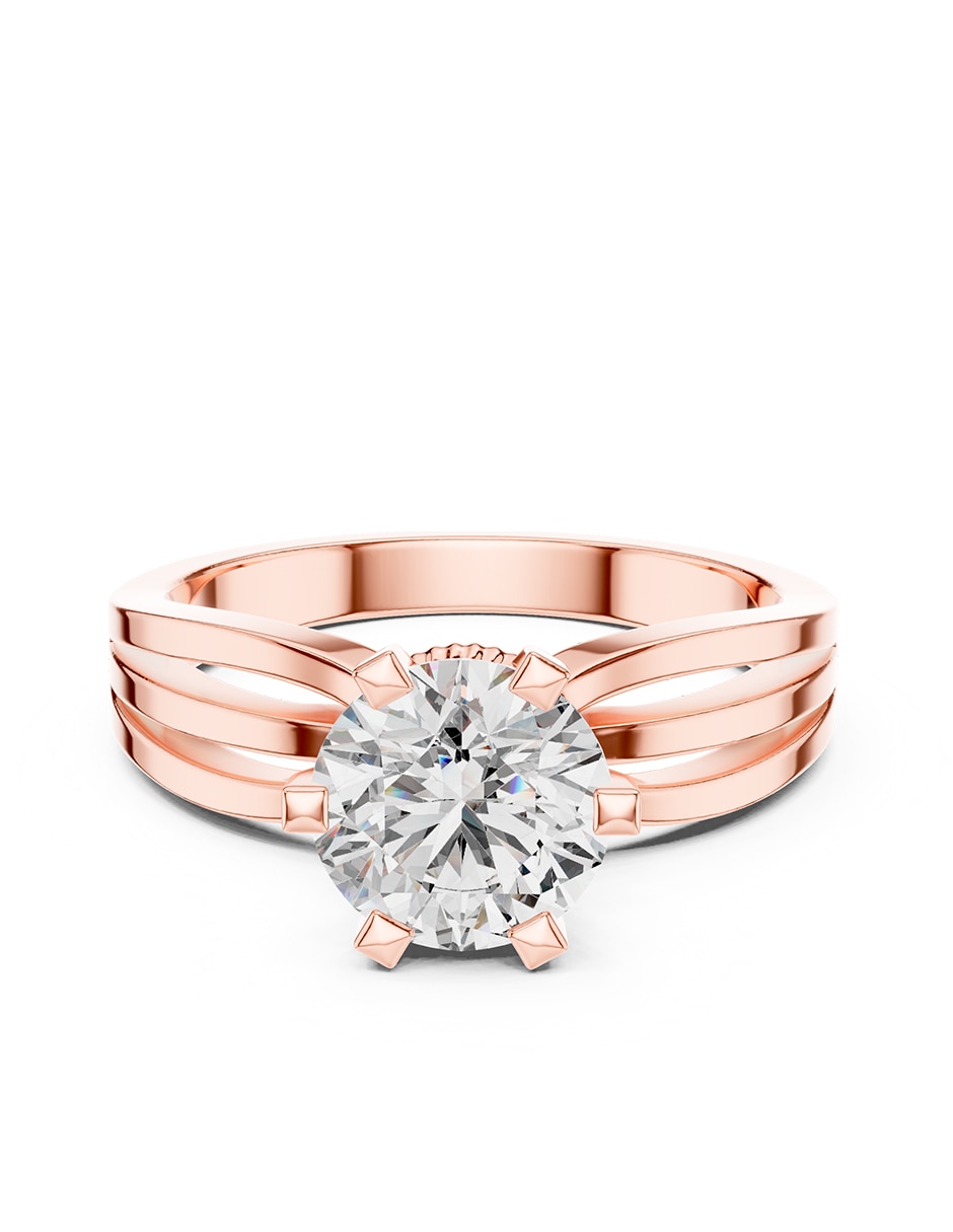 Rosa 3
