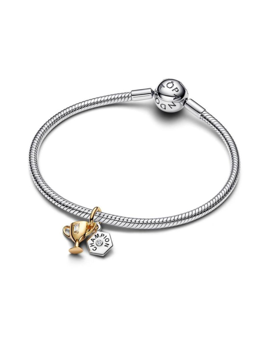 Charm Moments de plata P 925 4