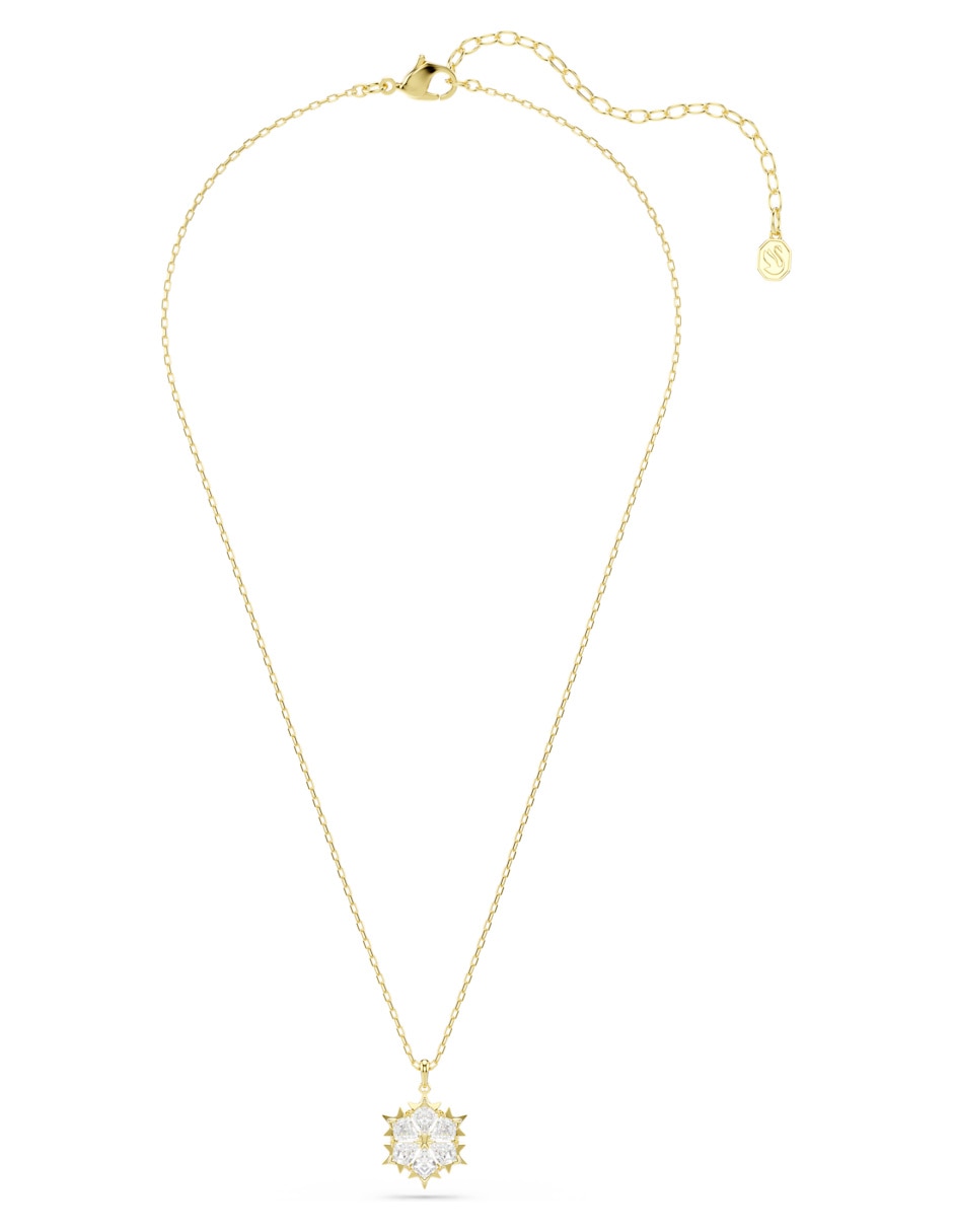 Collar con dije Magic Evolution Collar con dije Magic Evolution