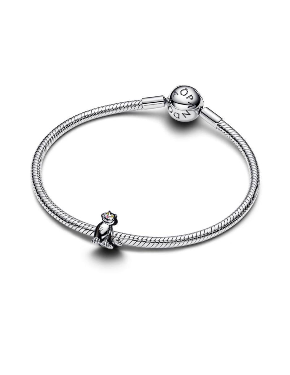 Charm de plata p 925 2