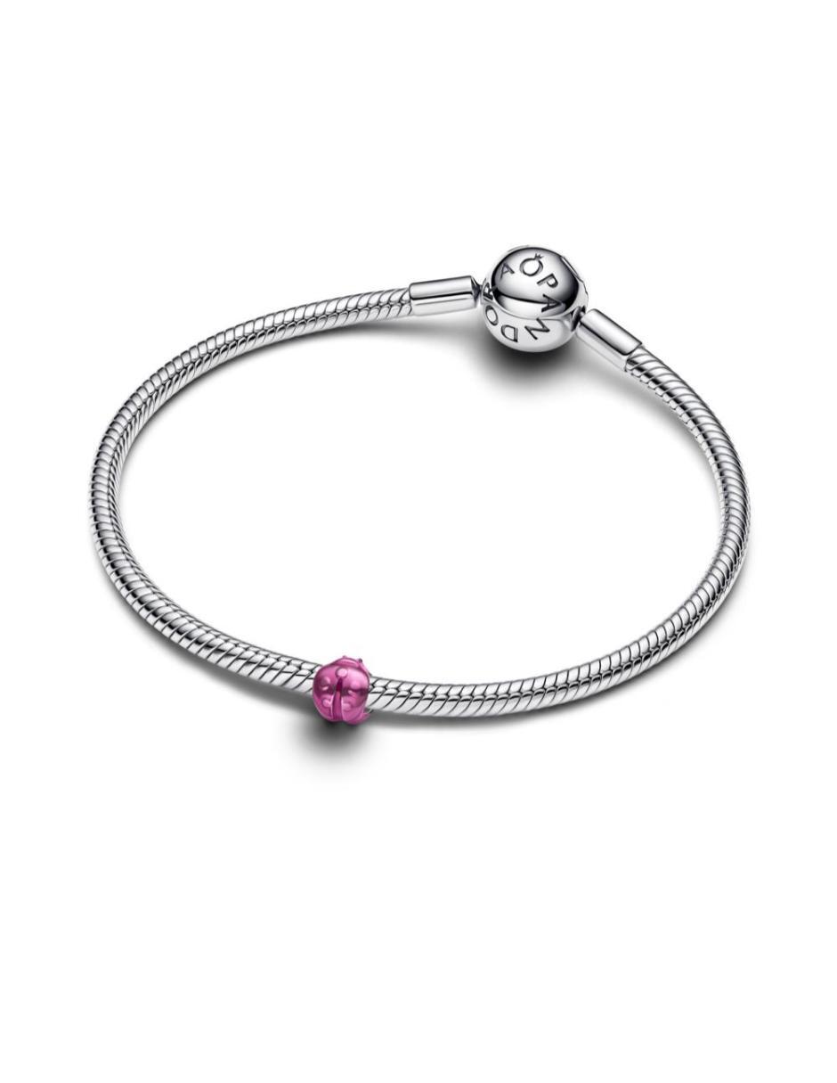 Charm de catarina de plata p 925 2