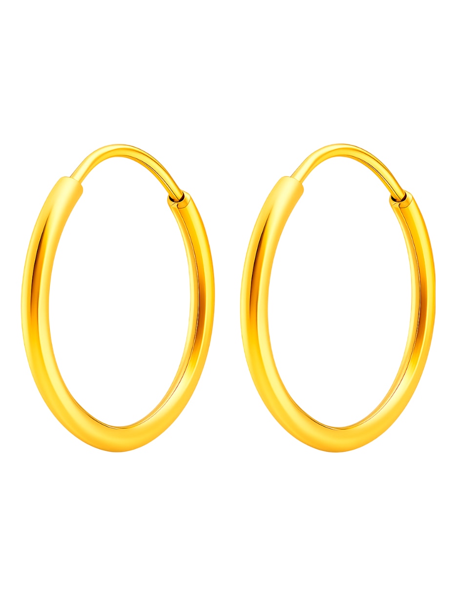 Arracadas de (si aplica) No aplica Sin familia de Oro 10 K con acabado Brillante Sin gema Arracadas de (si aplica) No aplica Sin familia de Oro 10 K con acabado Brillante Sin gema