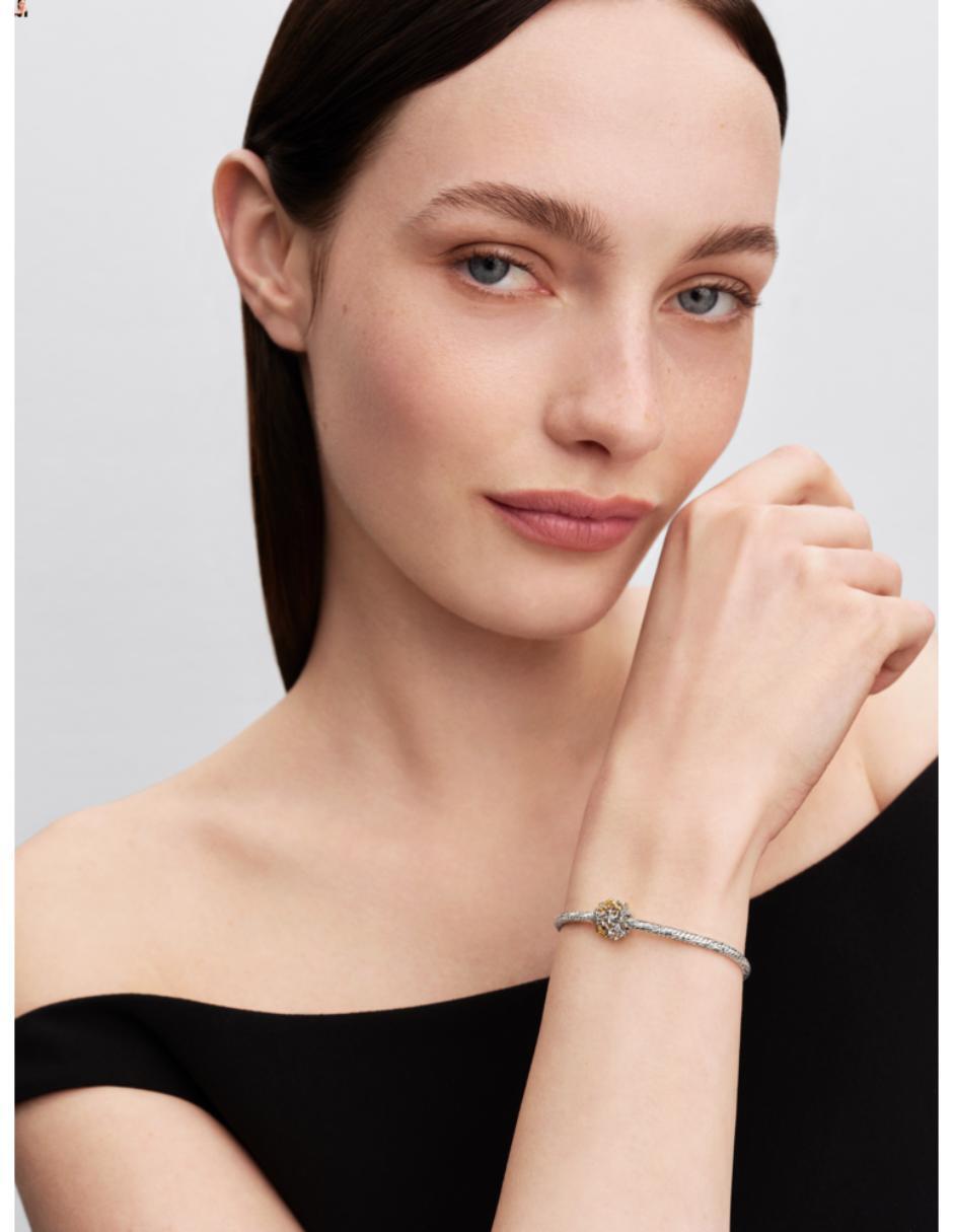Charm moments de plata p 925 2