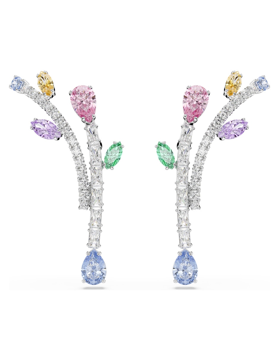 Aretes multicolor